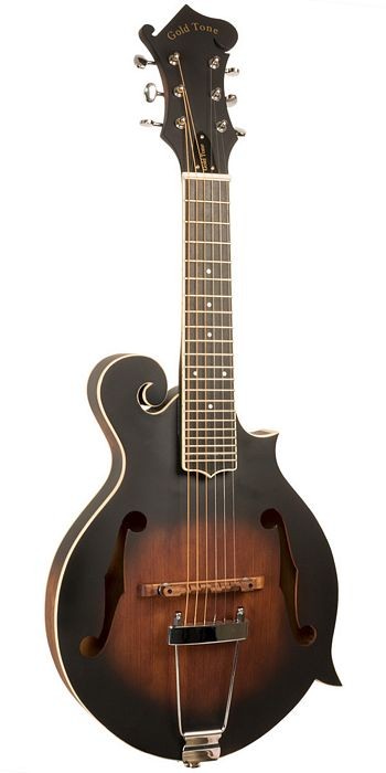 Gold Tone F-6 Mando Guitar (6-String) B-Stock