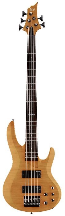 LTD B-155DX-HN 5-String Bass - Honey Natural