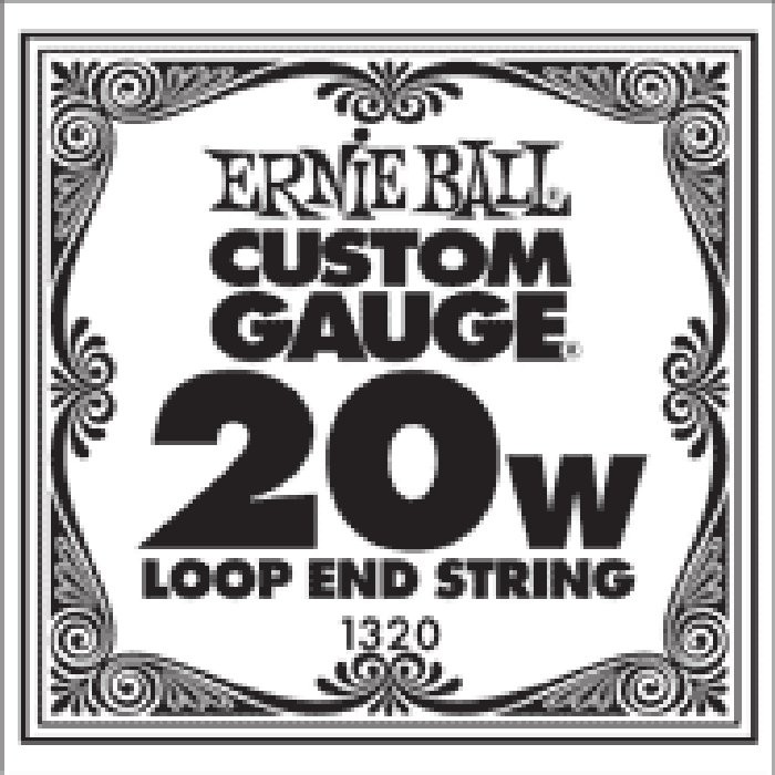 Ernie Ball Loopend 24W Nickel Wound Single String