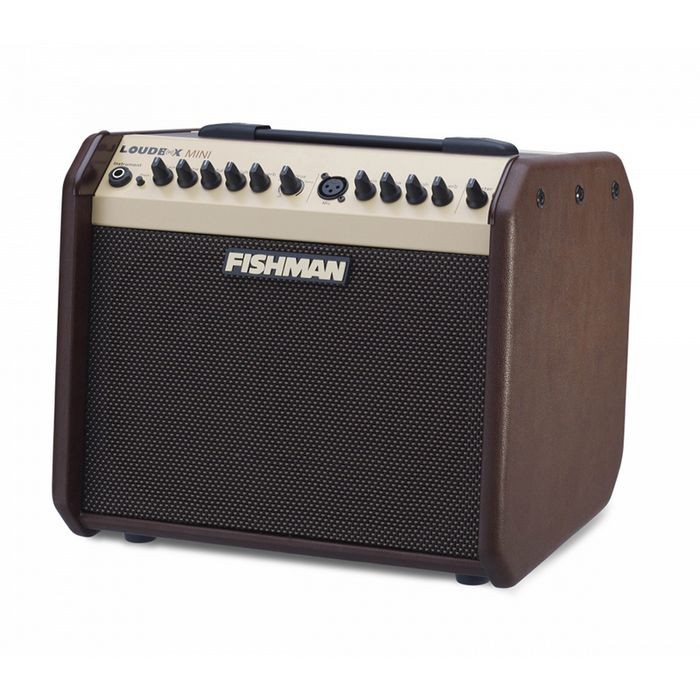 Fishman Loudbox Mini Acoustic Guitar Amplifier Combo