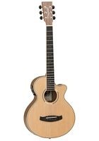 Tanglewood Discovery Exotic DBT TCE BW