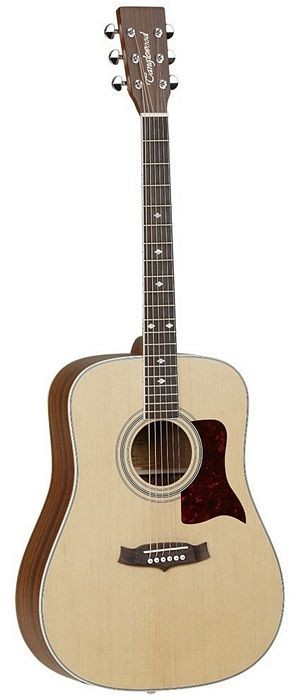Tanglewood TW15 NS Dreadnought