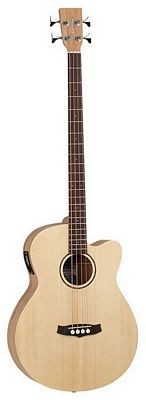 Tanglewood TWR-AB Acoustic Bass
