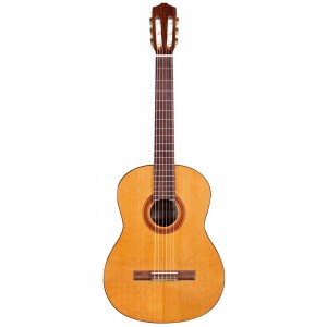 Cordoba C5 Cedar, Classical Guitar