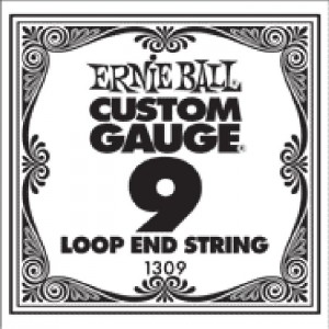 Ernie Ball Loopend Plain 17 Single String