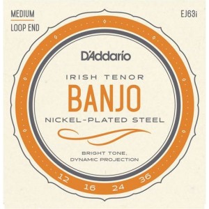 DAddario EJ63I Irish Banjo